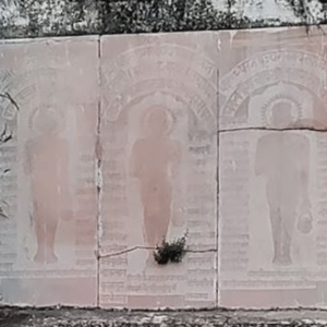 Shri 1008 Shitalnath Digambar Jain Mandir (Madhuban)